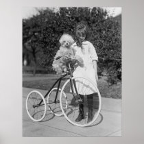 Poodle Perch, 1913 Posters