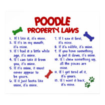 POODLE PL2 posters by poochloverstuff POODLE PL2 posters