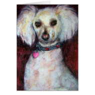 Poodle Portrait Card