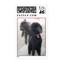 Poodle Postage postage by gardenparty Poodle Postage postage