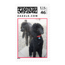 Poodle Postage postage by gardenparty Poodle Postage postage