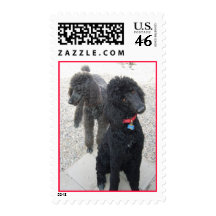 Poodle Postage