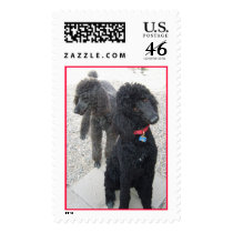 Poodle Postage large postage by gardenparty Poodle Postage large postage