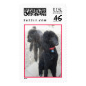 Poodle Postage large postage by gardenparty Poodle Postage large postage