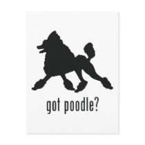 Poodle Postcard