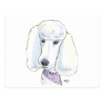 Poodle postcards
