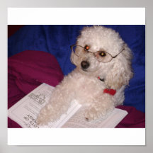 Poodle Posters