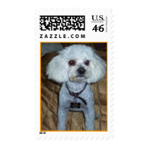 Poodle Pride postage