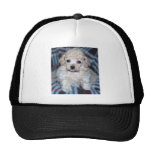 Poodle puppy GOT POO? Mesh Hats