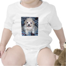 Poodle puppy GOT POO? T-shirt