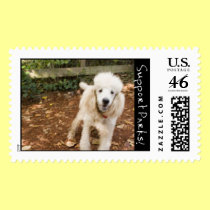 Poodle stamps
