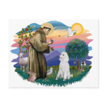 Poodle (Standard White) Postcard