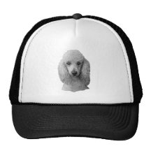 Poodle - Stylized Image - Add Your Own Text Hats