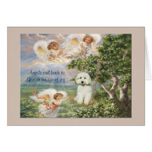 Poodle Sympathy Card