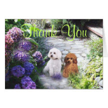 Poodle Thank You Card Hydrangeas