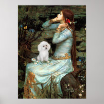Poodle (White Toy) - Ophelia Seated Posters