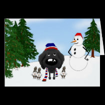 Poodle Winter Scene cards