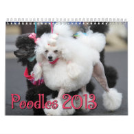 Poodles 2013 Calender Wall Calendar
