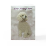 Poodles Are Heavenly Greeting Card