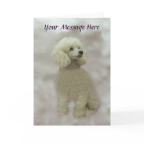 Poodles Are Heavenly Greeting Card