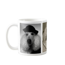 Poodles are Hip, Smart & Chic! mugs