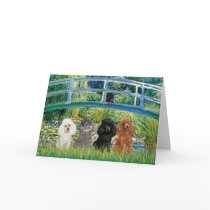 Poodles (four) - Bridge Greeting Card