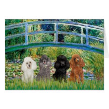 Poodles (four) - Bridge Greeting Card