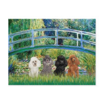 Poodles (four) - Bridge postcards