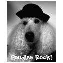 Poodles Rock! t-shirts by imagineblueskies Poodles Rock! t-shirts