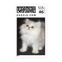 Pooffy kitty postage