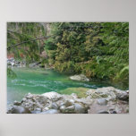 Pool of water in Lynn Canyon Park posters