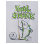 Pool shark flyers