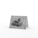 poop 001 cards