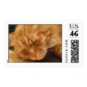 poosh postage by niburaz poosh postage