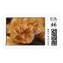 poosh postage by niburaz poosh postage