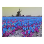 Pop Art Blue Tulips Windmills Landscape Postcard