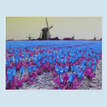 Pop Art Blue Tulips Windmills Landscape Postcard postcards