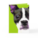 POP Art Boston Terrier cards