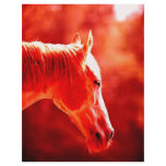 Pop Art Horse Head Flyers