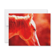 Pop Art Horse Head invitations