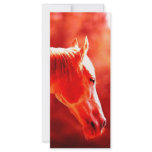 Pop Art Horse Head Custom Rack Card