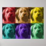 Pop Art Labradoodle Posters