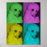 Pop Art Poodle posters