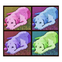 Pop Art Quad Yellow Labrador Retriever posters