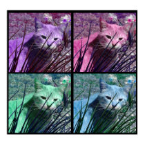 Pop Art Tiger Cat Poster