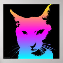 Pop Cat Poster