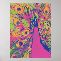 Pop Peacock Poster