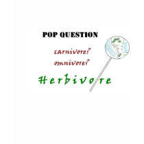 Pop Question Ladies Shirt by allinharmony Pop Question Ladies Shirt