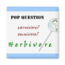Pop Question Magnet by allinharmony Pop Question Magnet