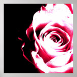 POP ROSE posters